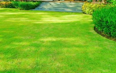 Winter-Green-Couch-1